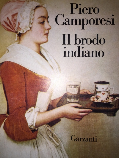 Copertina  Il brodo indiano : edonismo ed esotismo nel settecento