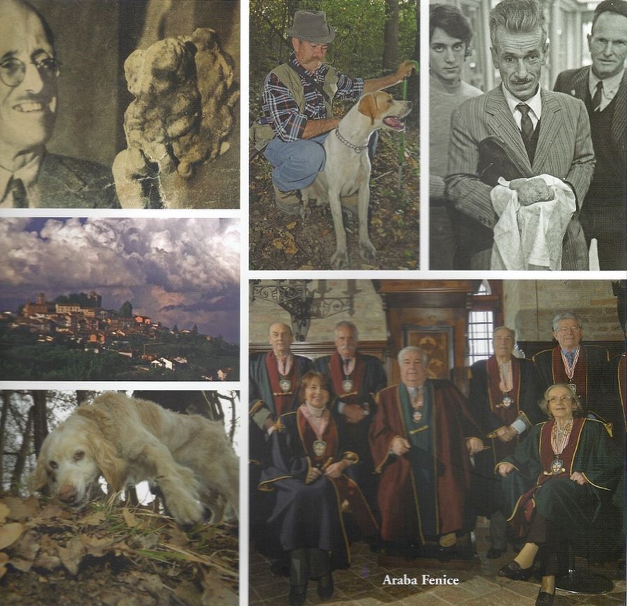 Copertina  I signori del tartufo : personaggi, luoghi, storie, leggende, cani che fanno grande il trtufo bianco d' alba