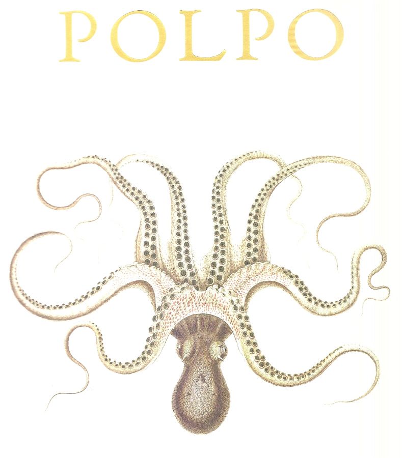 Copertina  Polpo : a venetian cookbook (of sorts)